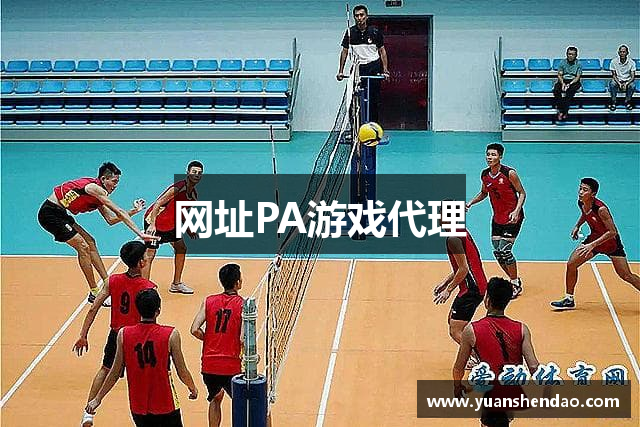 网址PA游戏代理